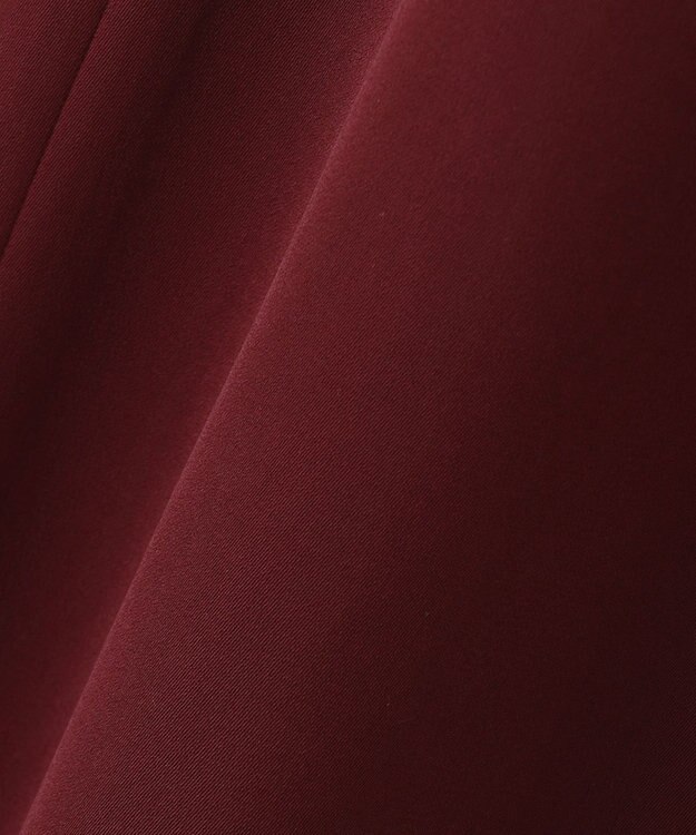 自由区 【WEB限定】ラグランタック ドレス ワイン系