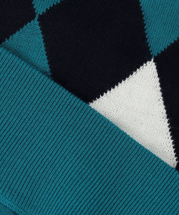 23区GOLF 【MEN】【洗える】ウールアクリル ランバス柄ニット ピーコックグリーン系