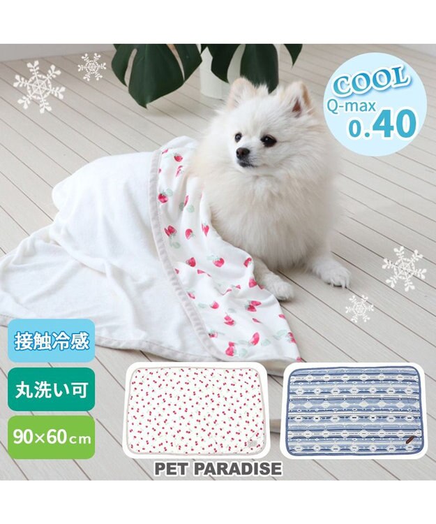 PET PARADISE ペットパラダイス クールブランケット 単品 (90×60cm)  《 苺柄 / ネイティブ柄 》 苺柄