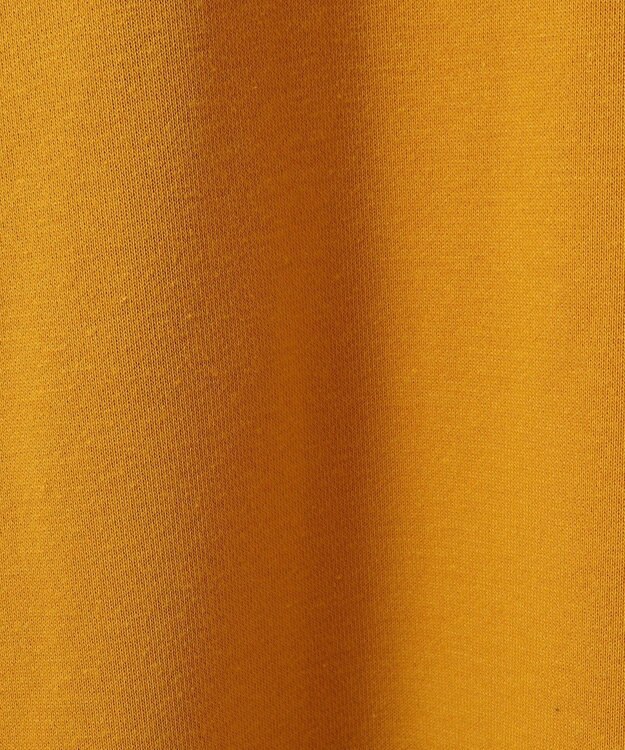 Green Parks ハリー・ポッター／袖口ライン裏毛フーディー Yellow