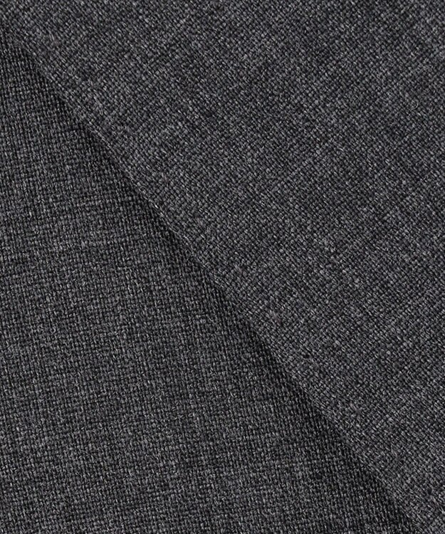 GOTAIRIKU 【AIRY MOVE / セットアップ対応】ウォッシャブルウールトロピカル セットアップジャケット ライトグレー系