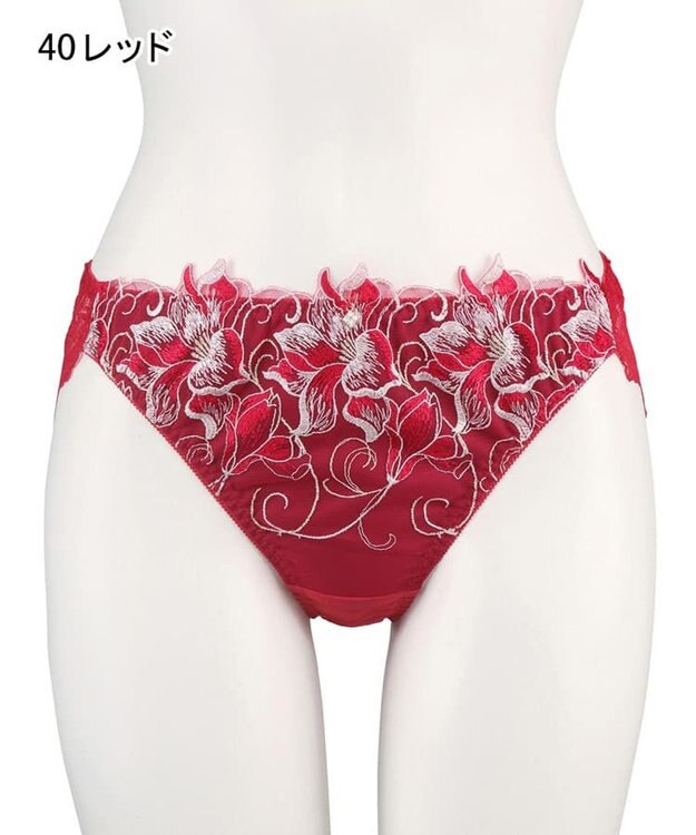 San-ai Resort（三愛水着楽園） エレガントコレクション2311ノーマルショーツ  【LLサイズ】【northerly】 レッド