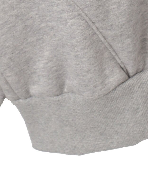 WEGO 【裏起毛】BROOKLYNロゴビッグパーカー グレー