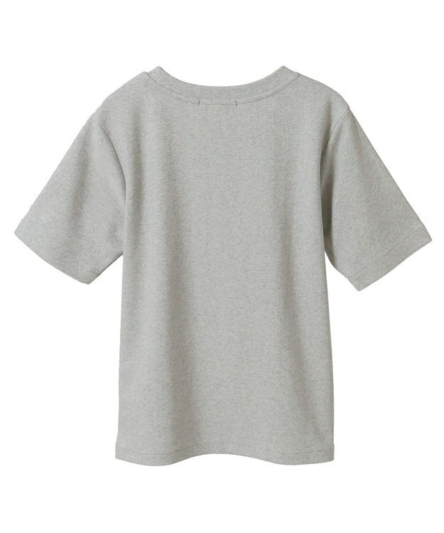 AMERICAN HOLIC ラメリブＴシャツ Silver