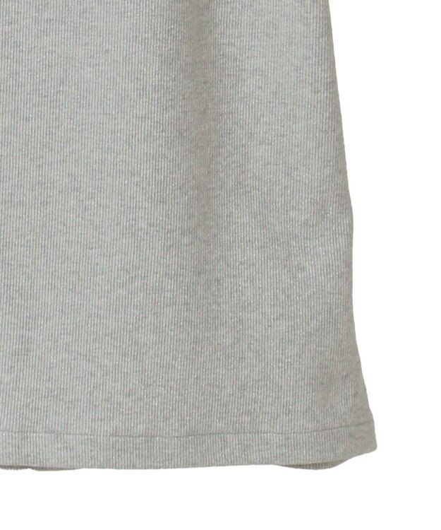 AMERICAN HOLIC ラメリブＴシャツ Silver