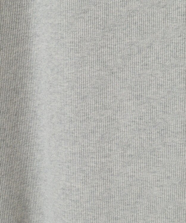 AMERICAN HOLIC ラメリブＴシャツ Silver