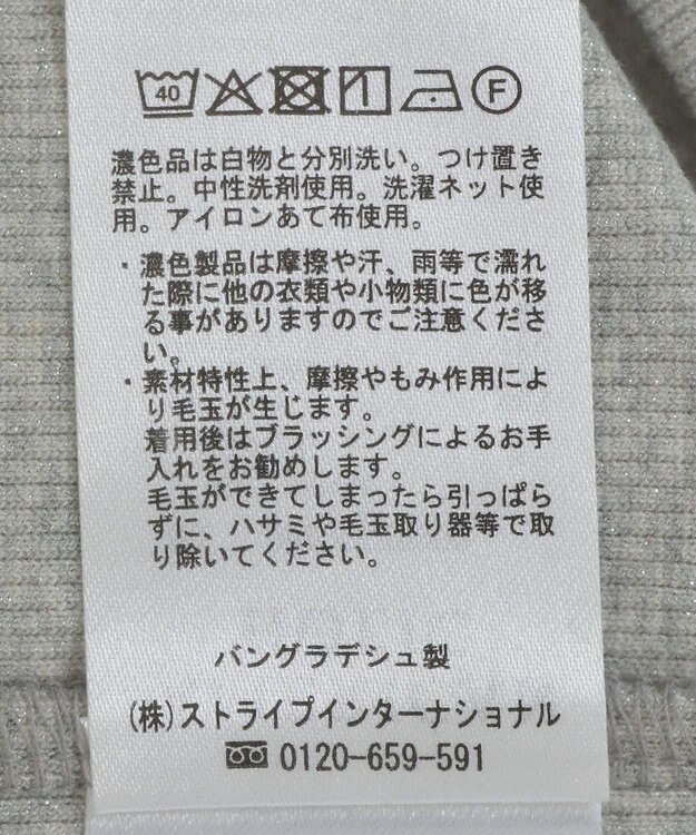 AMERICAN HOLIC ラメリブＴシャツ Silver