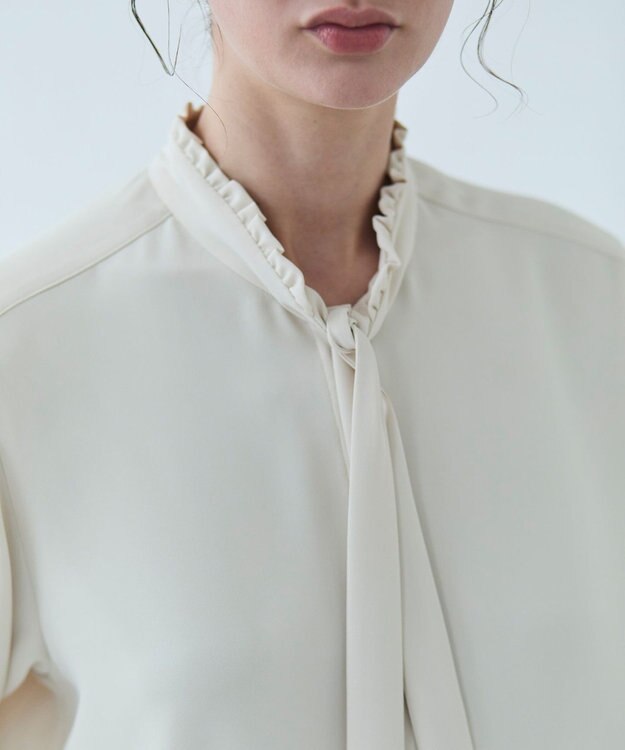 BEIGE， 【洗える・L-size】EVA / ボウタイロングスリーブブラウス Sheer Orange