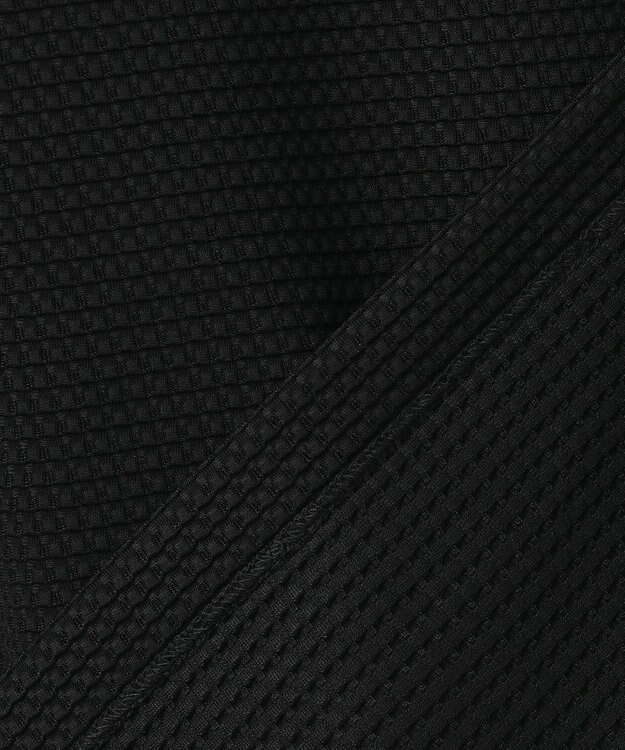 JOSEPH HOMME 【WEB限定】【オリジナル素材/シワになりにくい】ライトタックジャージー　スキッパー ブラック系