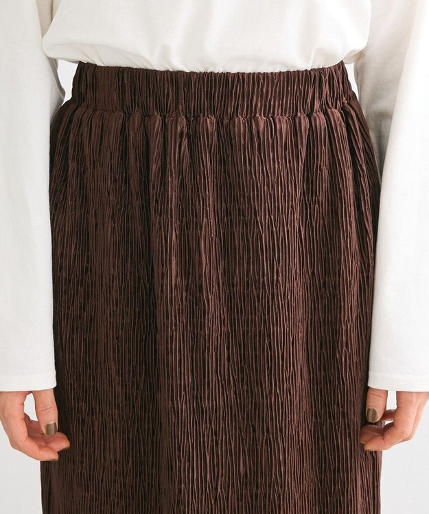 Green Parks ・ＡＮＤＳＥＡＲＣＨ　プリーツ加工Ｉラインスカート Brown