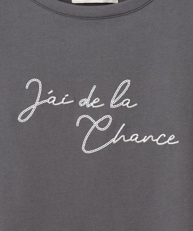 ANY SIS S ロゴ刺繍 Tシャツ スレート