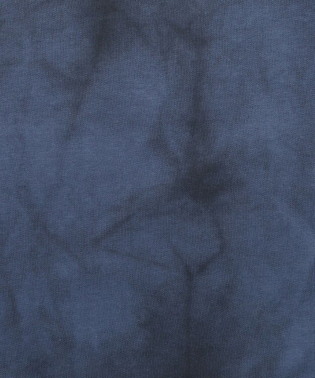 WEGO 【ユニセックス着用ITEM/MLサイズ展開】スノーパターンポンチT（SS） ブルー