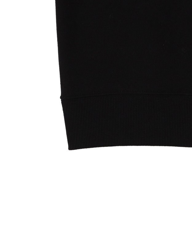 WEGO 別注Hondaプルオーバービッグスウェット ブラック