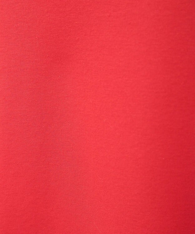 AMERICAN HOLIC タートルカットプルオーバー1 Red