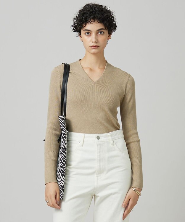 ICB 【新色追加・洗える】エクストラファインメリノ Vネックプルオーバー ベージュラメ系