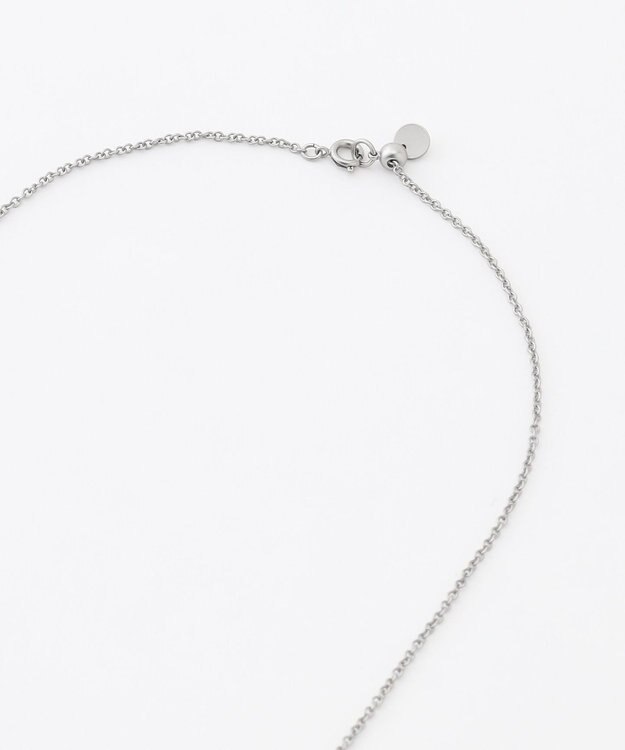 自由区 【SHIHOさん着用・ワンポイントアイテム】オーバルアセチメタル ネックレス マットシルバー