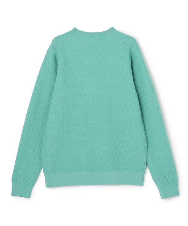 JOSEPH HOMME 新柄【イージーケア】 ヴィスコースリンクス　クルーネックニット スモーキーグリーン系