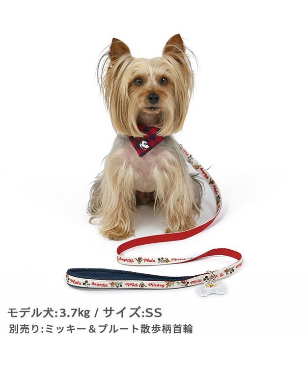 PET PARADISE ディズニー ミッキーマウス プルート 散歩柄 リード 【４Ｓ~３Ｓ】 小型犬 -