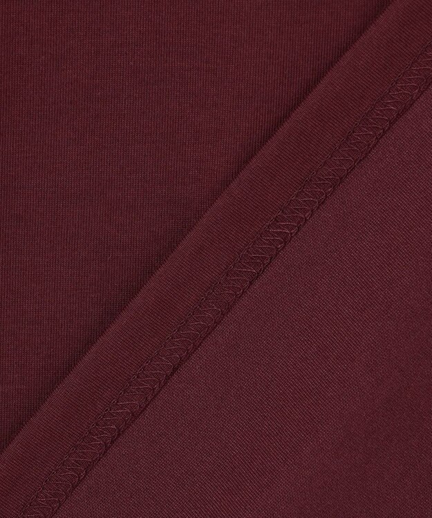 ANY L フットボールロングスリーブＴシャツ バーガンディ