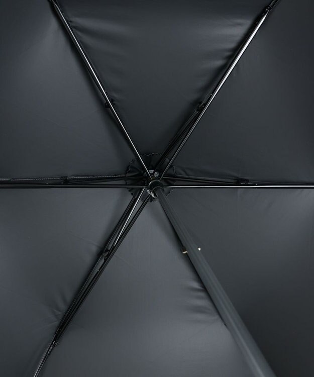 AURORA 【 NINA RICCI（ニナリッチ）】アップリケ刺しゅう/パイピング晴雨兼用傘（折りたたみ傘） シルバーグレー