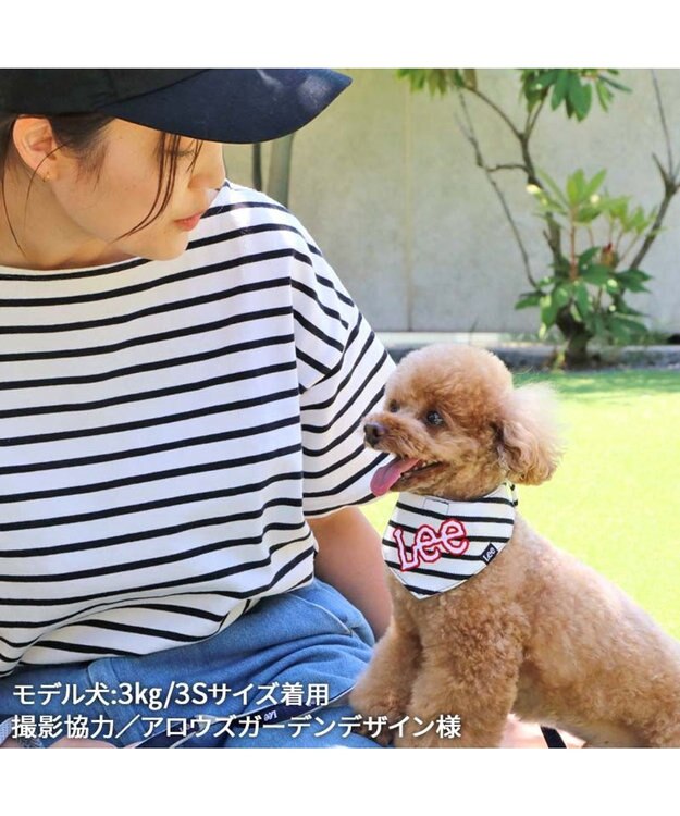 PET PARADISE Ｌｅｅ 冷感バンダナ 《ボーダー》 小型犬 ボーダー