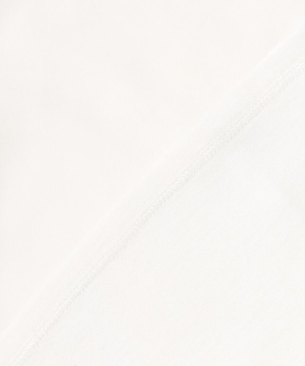 23区 L 【洗える】シルキーデシン バーアクセント ブラウス ホワイト系