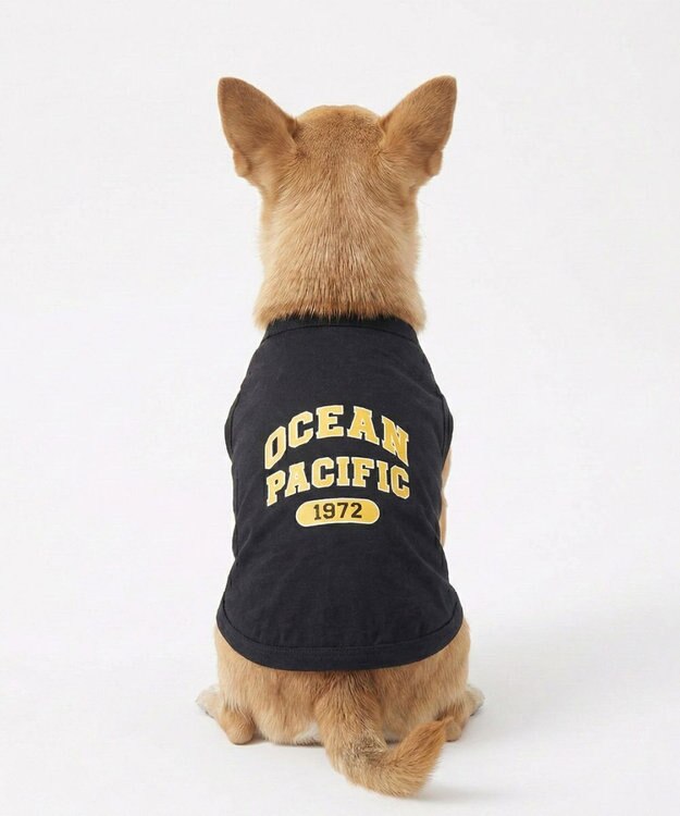 OP／FILA 【Ocean Pacific】アメカジドッグウェア ペットウェア ブラック