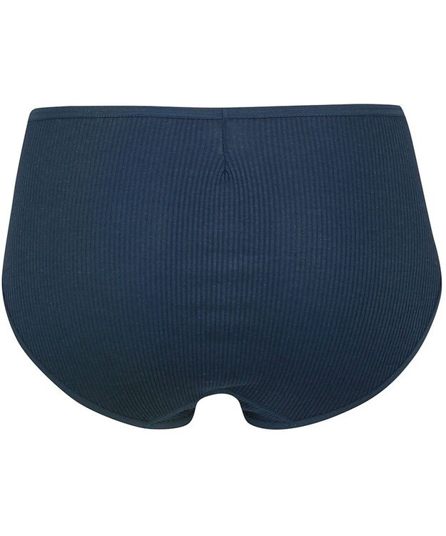 Wing ショーツ 【デイリーフィット リブ】 リブ素材(身生地部) はきこみ丈ふつう EC2400 ウイング／ワコール グレイッシュブルー