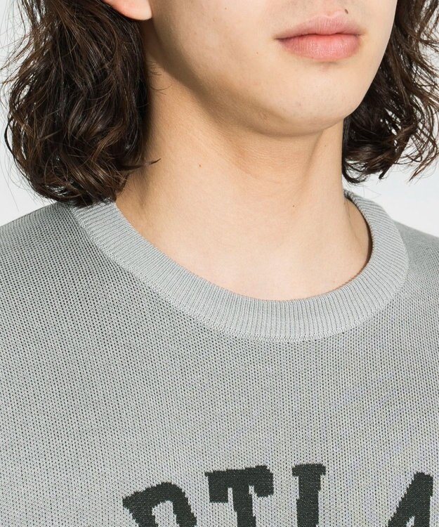 WEGO 【ユニセックス着用ITEM】ジャガードニットプルオーバー（S） グレー