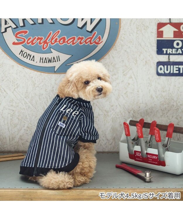 PET PARADISE Lee ブルゾン ストライプ 小型犬 ネイビー×ホワイト
