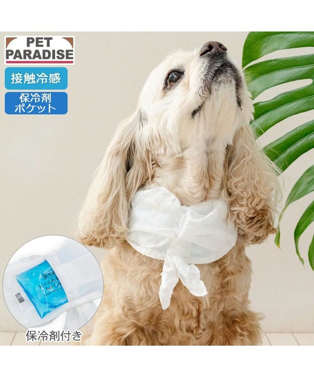 PET PARADISE ペットパラダイス クールバンダナ 《花柄》 中型犬 ホワイト