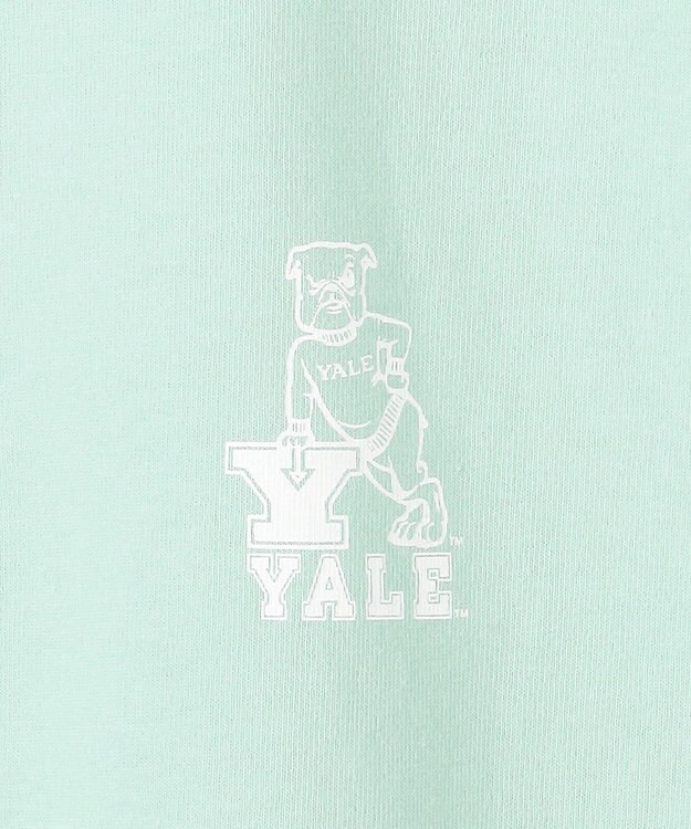 J.PRESS YORK STREET 【UNISEX】YALEバックプリント Tシャツ ライトグリーン系