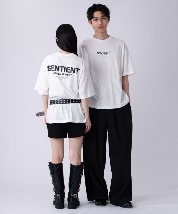 WEGO 【ユニセックス着用ITEM/XSSMLXLサイズ展開】アソートグラフィックBIG　T（SS） 柄17