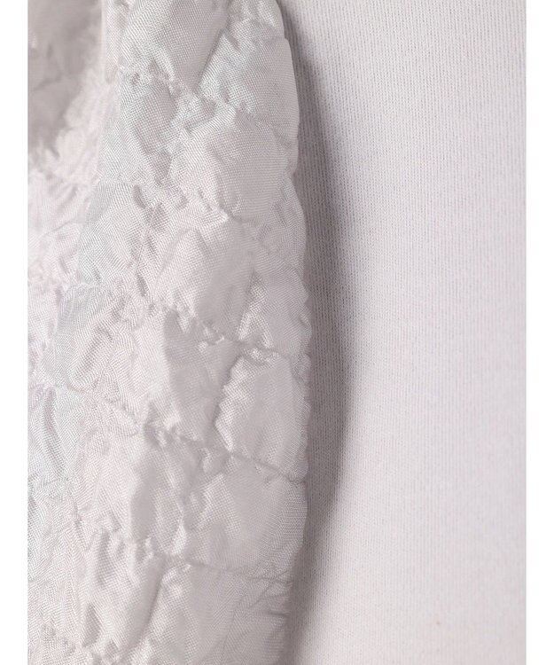 Green Parks ・ＳＵＧＡＲ　ＳＰＯＯＮ　シャーリング袖プルオーバー Light Gray