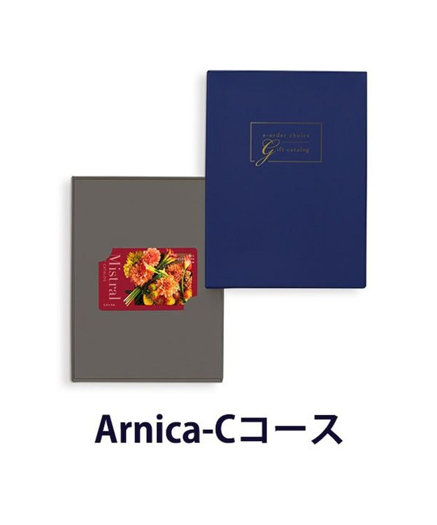 antina gift studio Mistral(ミストラル) e-order choice(カードカタログ) ＜Arnica(アルニカ)＞ -