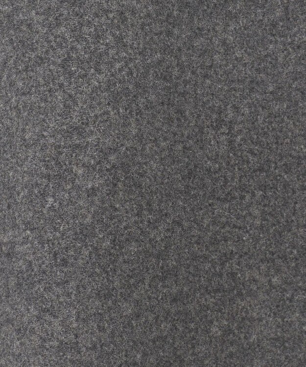 BEIGE， THOUIN / フレアスカート C.Gary