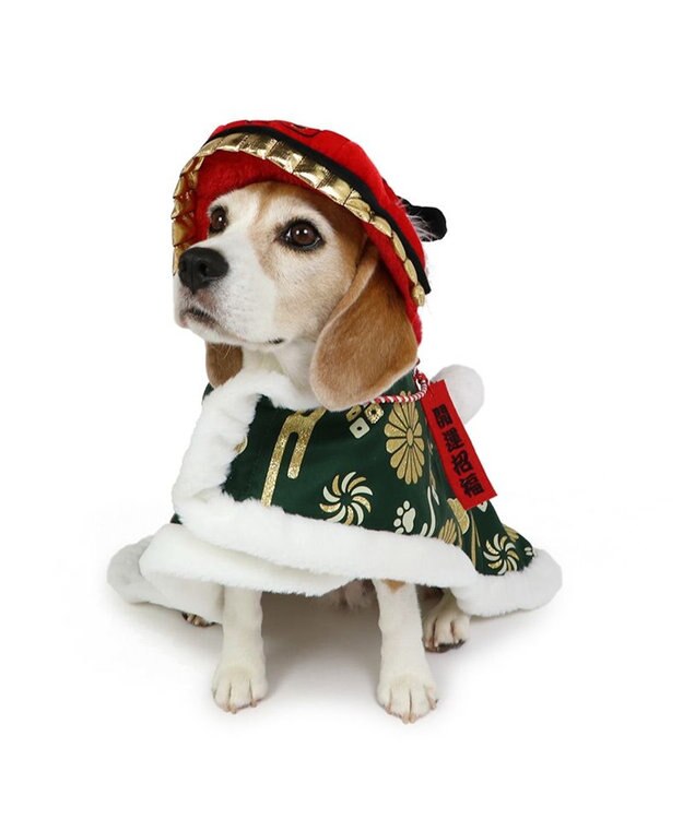 PET PARADISE ペットパラダイス 獅子舞 コート 中型犬 大型犬 緑