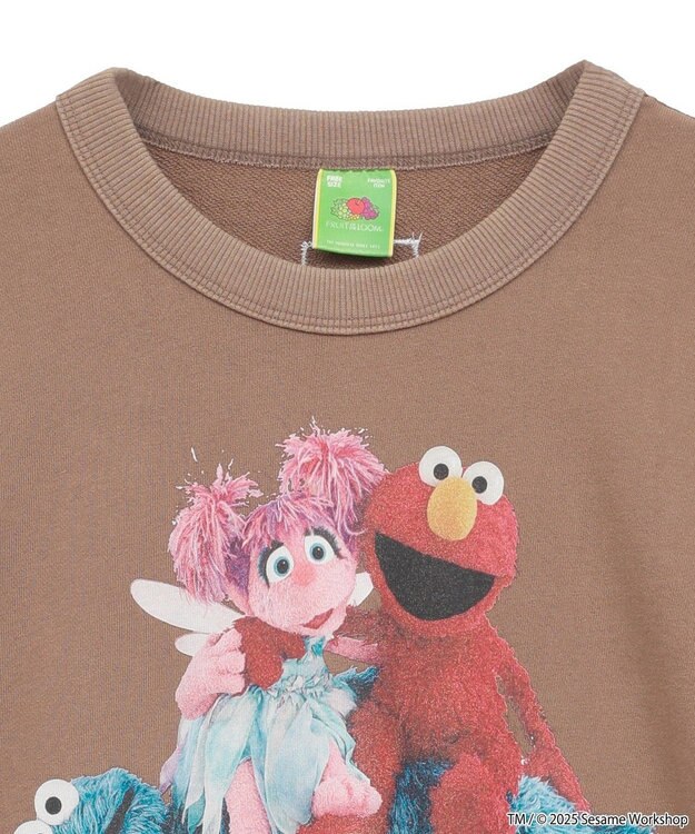 Green Parks セサミストリートミーツフルーツオブザルーム　スウェット Brown