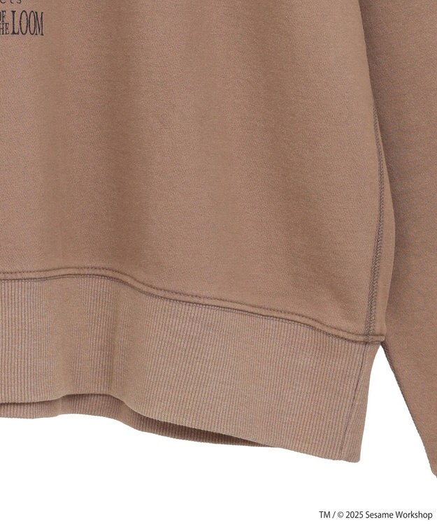 Green Parks セサミストリートミーツフルーツオブザルーム　スウェット Brown