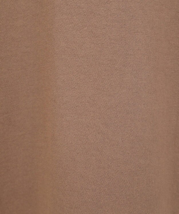 Green Parks セサミストリートミーツフルーツオブザルーム　スウェット Brown