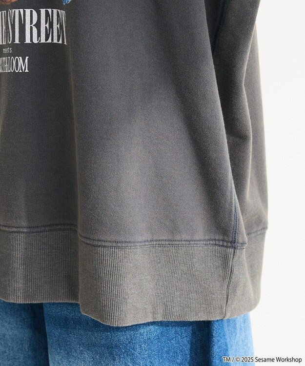 Green Parks セサミストリートミーツフルーツオブザルーム　スウェット Charcoal Gray