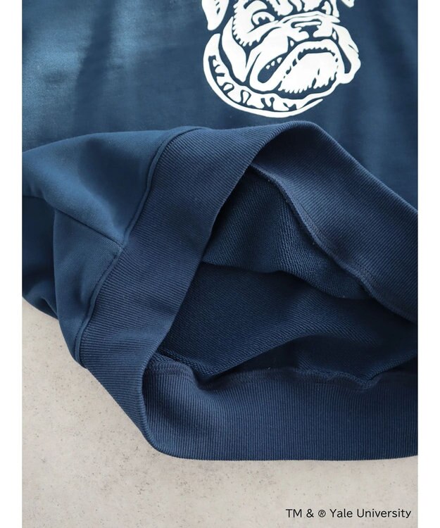 AMERICAN HOLIC ＴＭ　＆　Ｒ　Ｙａｌｅ　Ｕｎｉｖｅｒｓｉｔｙ　スウェット Navy