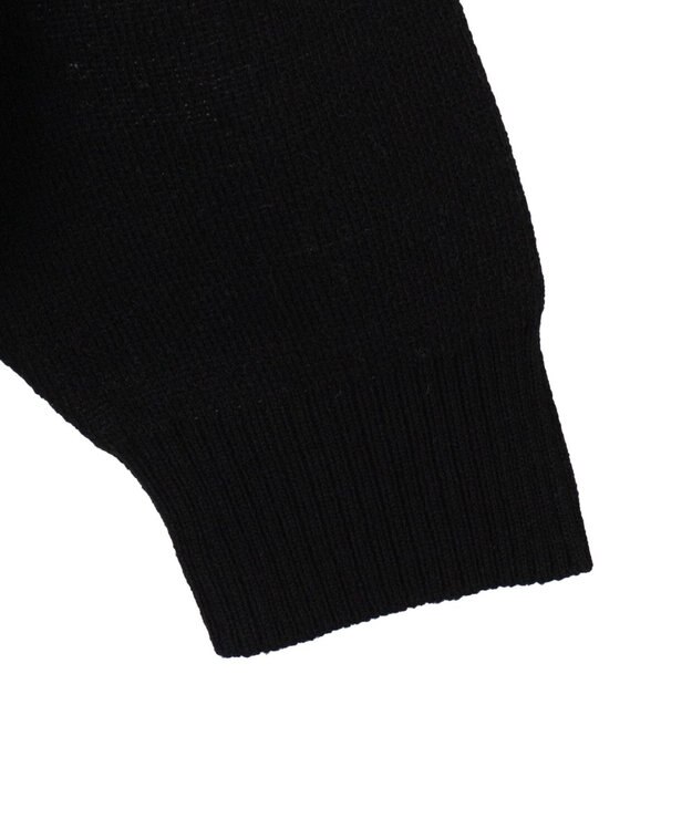 WEGO 【ユニセックス着用ITEM】ジャガードスリーブラインプルオーバー ブラック