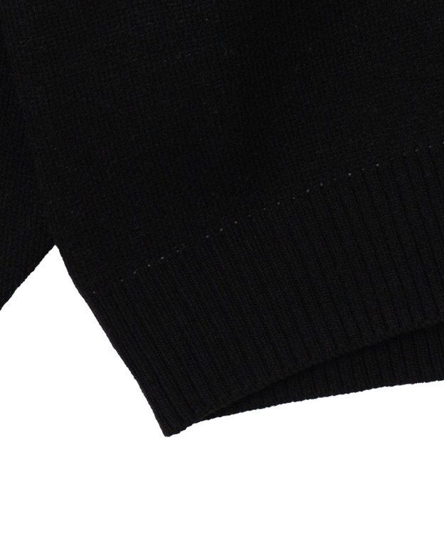 WEGO 【ユニセックス着用ITEM】ジャガードスリーブラインプルオーバー ブラック