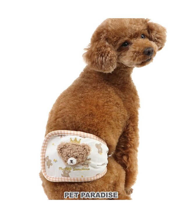 PET PARADISE ペットパラダイス 王冠くまちゃん マナーベルト  小型犬