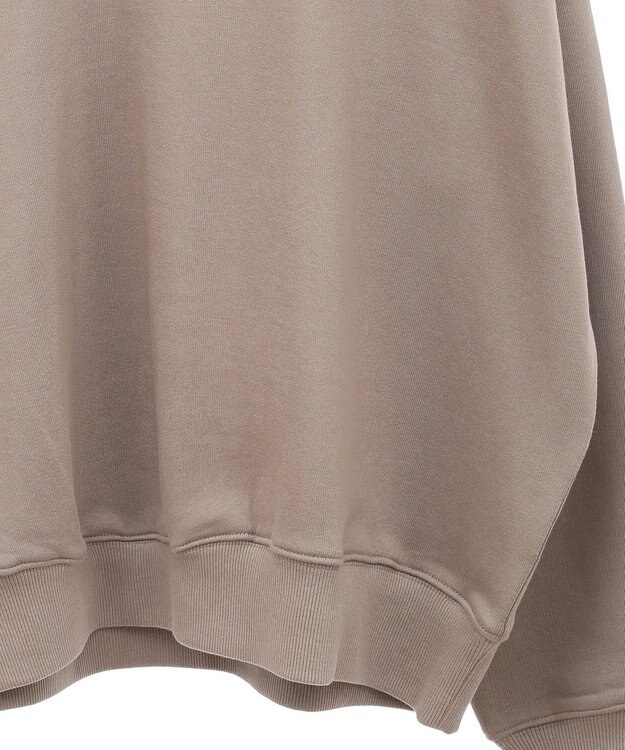 AMERICAN HOLIC ハーフＺＩＰスウェット1 Mocha