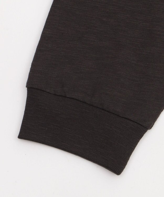 WEGO 【ユニセックス着用ITEM/MLサイズ展開】スラブチェックロゴジップパーカー ブラック中濃色