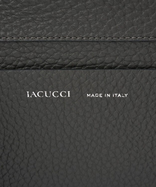 IACUCCI ＜BAILA 10月号掲載＞ラーナ L ALCE グレー