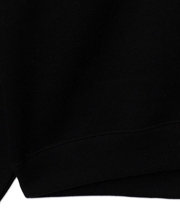 WEGO メタリックロゴプルオーバー ブラック