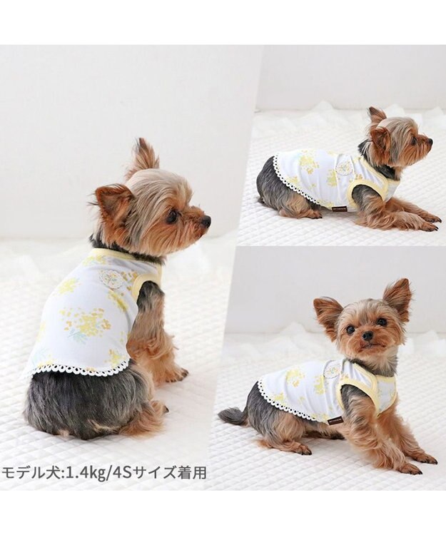 PET PARADISE ペットパラダイス はじめてタンクトップ 《ミモザ柄》 小型犬 ミモザ柄